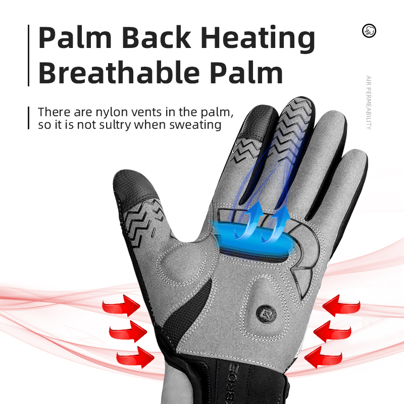 ROCKBROS Heated Winter Glove C - Touch Screen Gloves 评论和价格